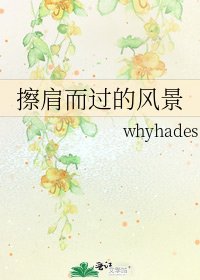 《擦肩而過的風景》