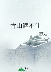《青山遮不住》