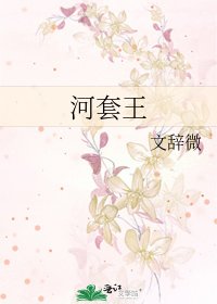 《河套王》