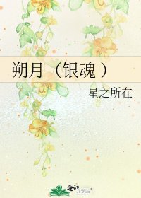 《朔月(銀魂 )》