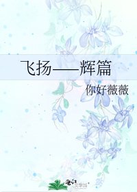 飛揚——輝篇
