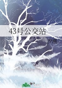 《43號公交站》