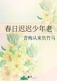 《春日遲遲少年老》