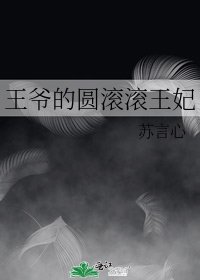 《王爺的圓滾滾王妃》