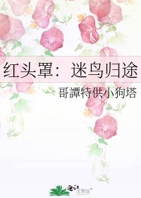 《紅頭罩:迷鳥歸途》