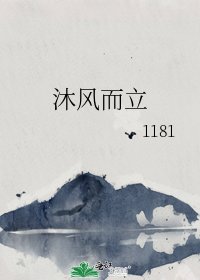 沐風而立