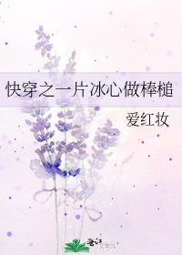 《快穿之一片冰心做棒槌》