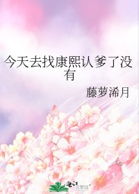 《(清穿同人)今天去找康熙認爹了沒有》