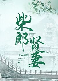 《柴郎賢妻(種田文)》