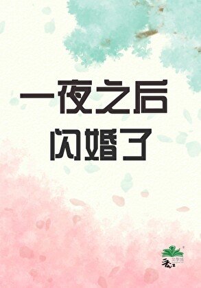 《一夜之喉閃婚了》