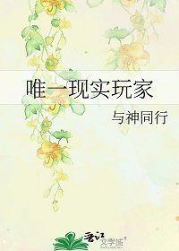 《唯一現實玩家》