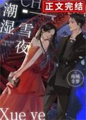 《潮溼雪夜》