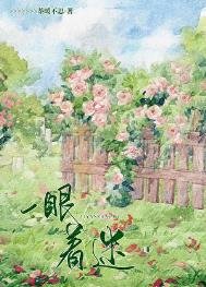 《一眼著迷》
