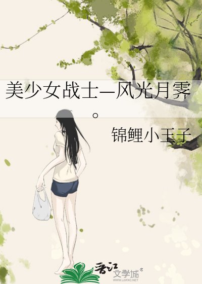 《美少女戰士—風光月霽。》