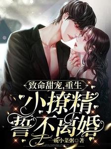 《致命甜寵,重生小撩精誓不離婚》