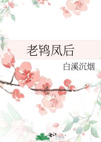 《老鴇鳳後》