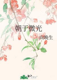 《朝於微光》
