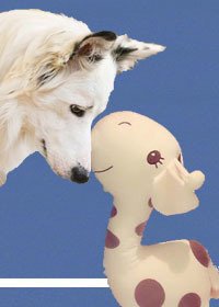 《(BL/社交網路同人)Geronimo安全降落 ME》
