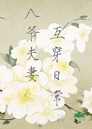 《八爺夫妻互穿留常(清穿)》