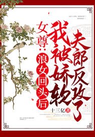《女尊:浪女回頭後,我被嬌軟夫郎反攻了》