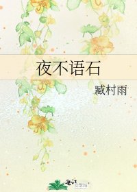 《夜不語石》