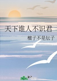 《天下誰人不識君》