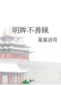 《明眸不善睞》