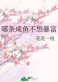 《哪條鹹魚不想暴富》