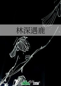 《林深遇鹿》
