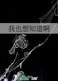 我也想知道啊