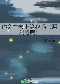 《你會在未來等我嗎(熙熙煦煦)》