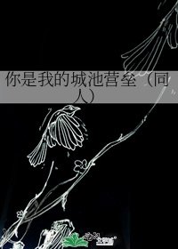 《你是我的城池營壘(同人)》