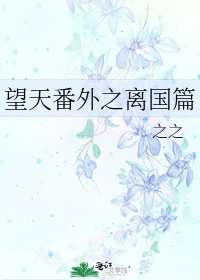 望天番外之離國篇