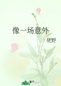 《潮起/像一場意外》