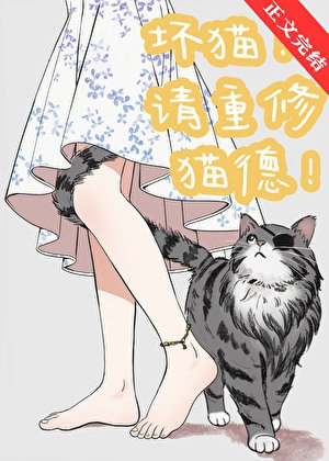 《壞貓!請重修貓德!》