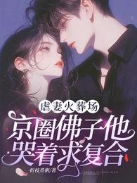 《虐妻火葬場,京圈佛子他哭著求複合!》