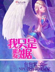 《我只是資料》