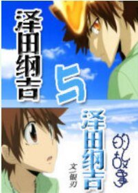 《(BL/家教同人)澤田綱吉與澤田綱吉的故事》