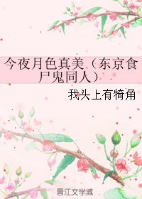 《(BL/東京食屍鬼同人)今夜月色真美》