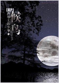 《(HP同人)候鳥》