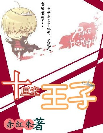 《(家教同人)十釐米王子》