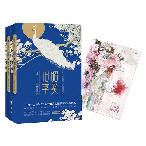 《昭奚舊草(出書版)》