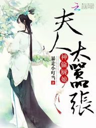 《神偷廚娘:夫人太囂張》