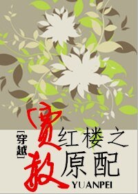《(BG/紅樓同人)穿越紅樓之賈赦原配》