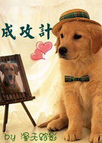 《成攻計》