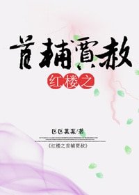 《(BL/紅樓同人)紅樓之首輔賈赦》