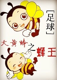 《 (BL/足球同人)大黃蜂之蜂王》
