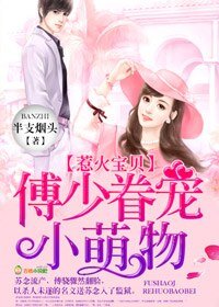 《惹火寶貝,傅少眷寵小萌物》