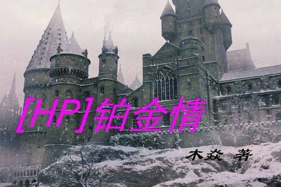（HP同人/BG）鉑金情