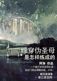（BL/綜漫同人）偽聖母是怎樣煉成的